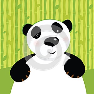 Black and white panda bear