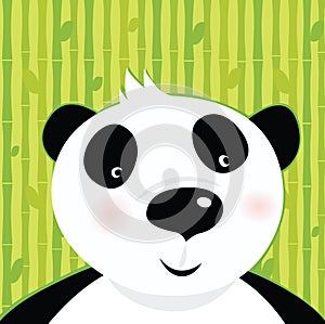 Black and white panda bear