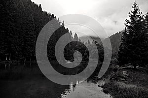 Black and white Panorama of natural landscape with lake, forest and mountains in a rainy day background. Foggy morning with hills.