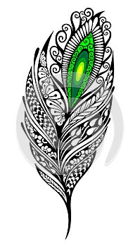 Black and white Peacock Feather. Vector illustration