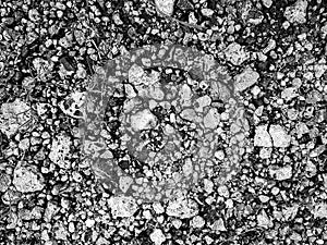 Black and white pebble and stone pattern background
