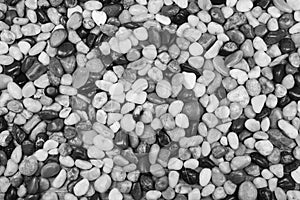 Black and white pebble stones for a background.