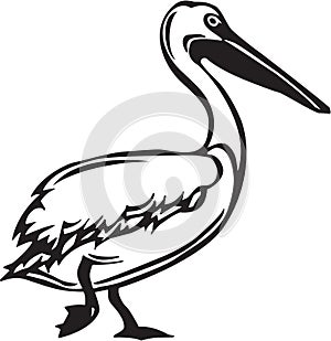 Black and White Pelican Illustration