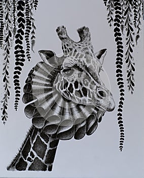 Black and white pen drawing, cute giraffe in renaissance clothes.