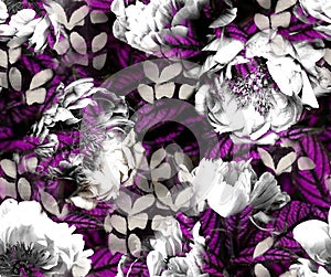 Black and white peonies with purple texture feathers