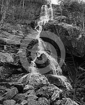 Black and White Photo of Apple Orchard Falls