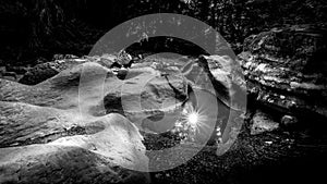 Black and White photo of Avalance Creek flowing along the Avalanche Lake hiking trail photo