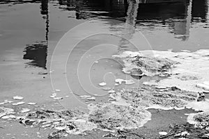 The black and white photo of The Beach Pollution.