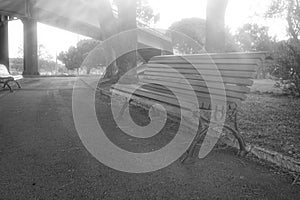Black and white photo . Bench in a park .