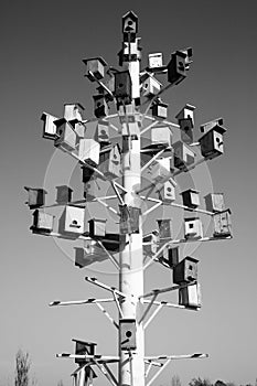 Black and white photo of birdhouses