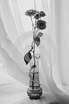 Black and white photo of a bouquet of roses.