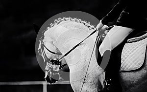 The black-white photo captures a white horse with a braided mane and a rider in a saddle as they compete in a dressage competition