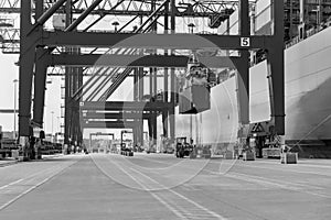 Black and white photo of Cargo Terminal