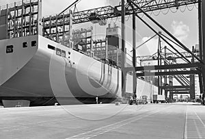 Black and white photo of Cargo Terminal