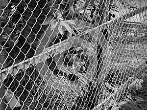 BLACK AND WHITE PHOTO OF CHAIN-LINK FENCE