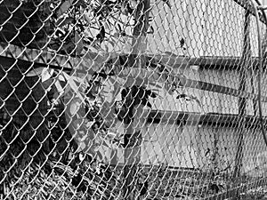 BLACK AND WHITE PHOTO OF CHAIN-LINK FENCE