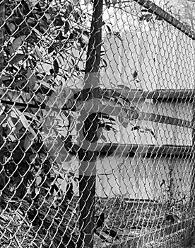 BLACK AND WHITE PHOTO OF CHAIN-LINK FENCE