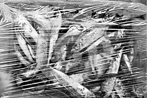 Black and white photo of dead fish in plastic bag. Pollution concept