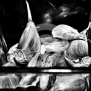 black and white photo, detail of glass vessel photo