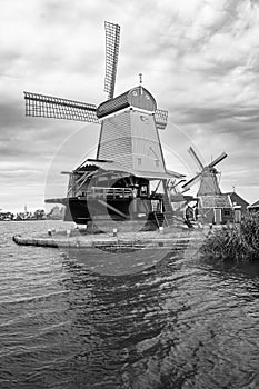 Black and white photo of Dutch windmills. Vertically