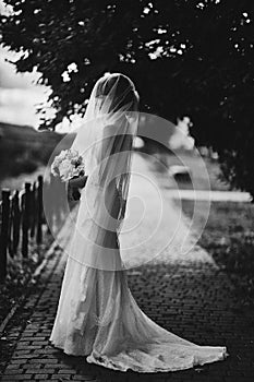 Black and white photo. elegant bride in white dress posing. Bride portrait and hairstyle, fashion bride. wedding day