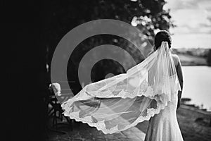 Black and white photo. elegant bride in white dress posing. Bride portrait wedding