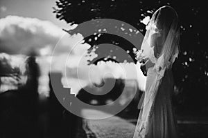 Black and white photo. elegant bride in white dress posing. Bride portrait and hairstyle, fashion bride. wedding day