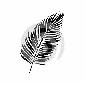 Black And White Palm Leaf Vector Illustration photo