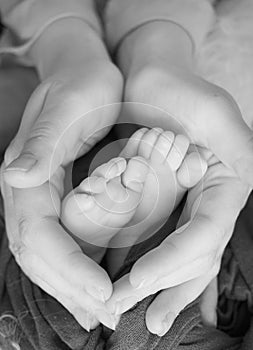 Black and white photo of the feet of a child in the arms of the mother. Macro shot. Mom and her baby. Concept of a happy family