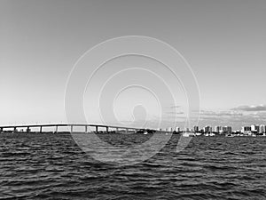 A black and white photo of an intercostal.