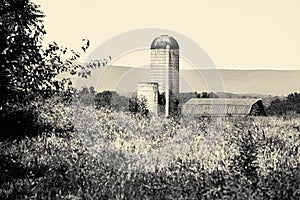 Black and white photo of a landscape with a silo and barn near Rectortown Virginia in Fauquier County.