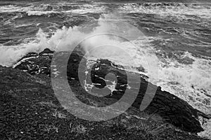 Black and White Photo of a Powerful Wave Crashing on Shore