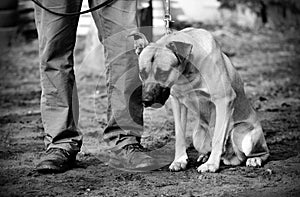 Black and white photo of a sad dog