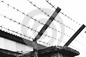 A black and white photo of a scary concrete fence with barbed wire strung over it