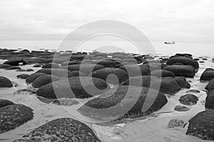 Black and white photo of sea