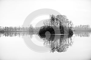 Black and white photo of small isle with trees in the middle of big pond