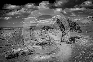 Black and white photo of a stony path