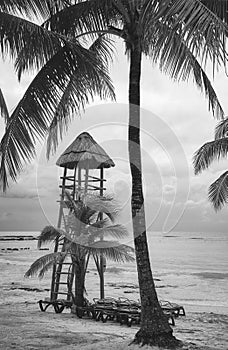 Black and white photo of a tropical beach, Mexico