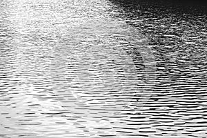 Black and white photo water texture. Small ripples from the wind on the water