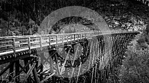 Black and White Photo of a Wooden Trestle Bridge of the abandoned Kettle Valley Railway in Myra Canyon
