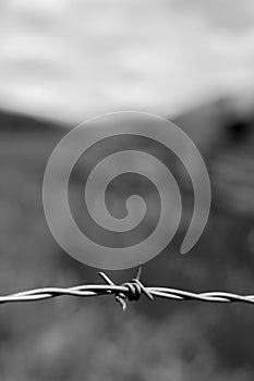 Black and white photograph of a barbed wire fence.