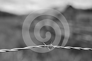 Black and white photograph of a barbed wire fence.