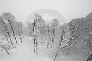 Black-and-white photographs of ski slopes and lifts in winter the snowy slopes of the mountains during a snowfall