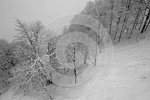 Black-and-white photographs of ski slopes and lifts in winter the snowy slopes of the mountains during a snowfall