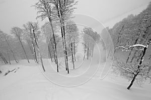 Black-and-white photographs of ski slopes and lifts in winter the snowy slopes of the mountains during a snowfall