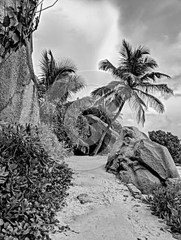 Black and White Photography of an Amazing tropical beach Anse Source d`Argent with granite boulders at sunset, La Digue Island,