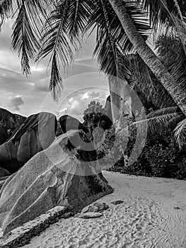 Black and White Photography of an Amazing tropical beach Anse Source d`Argent with granite boulders at sunset, La Digue Island,