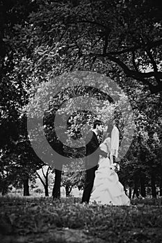 Black white photography beautiful young couple stand on background forest