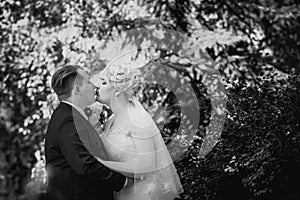 Black white photography beautiful young couple stand on background forest