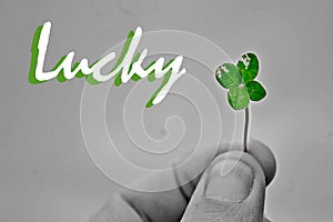 Black and white photography of green four-leaf clover with word Lucky